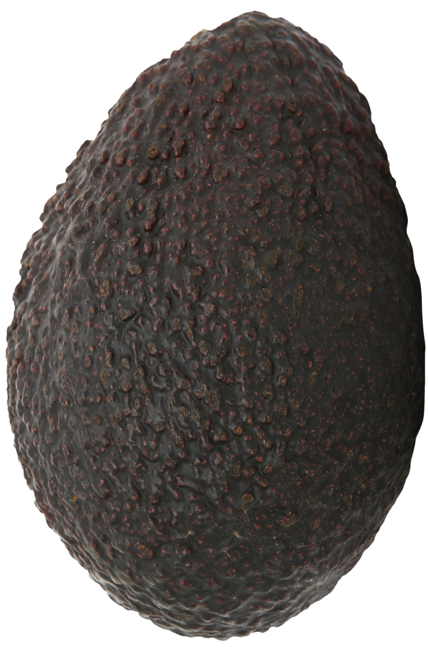 black avocado image